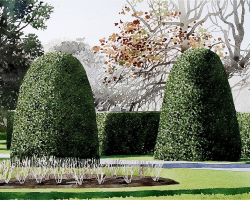 Kew Gardens Topiary 2. copy