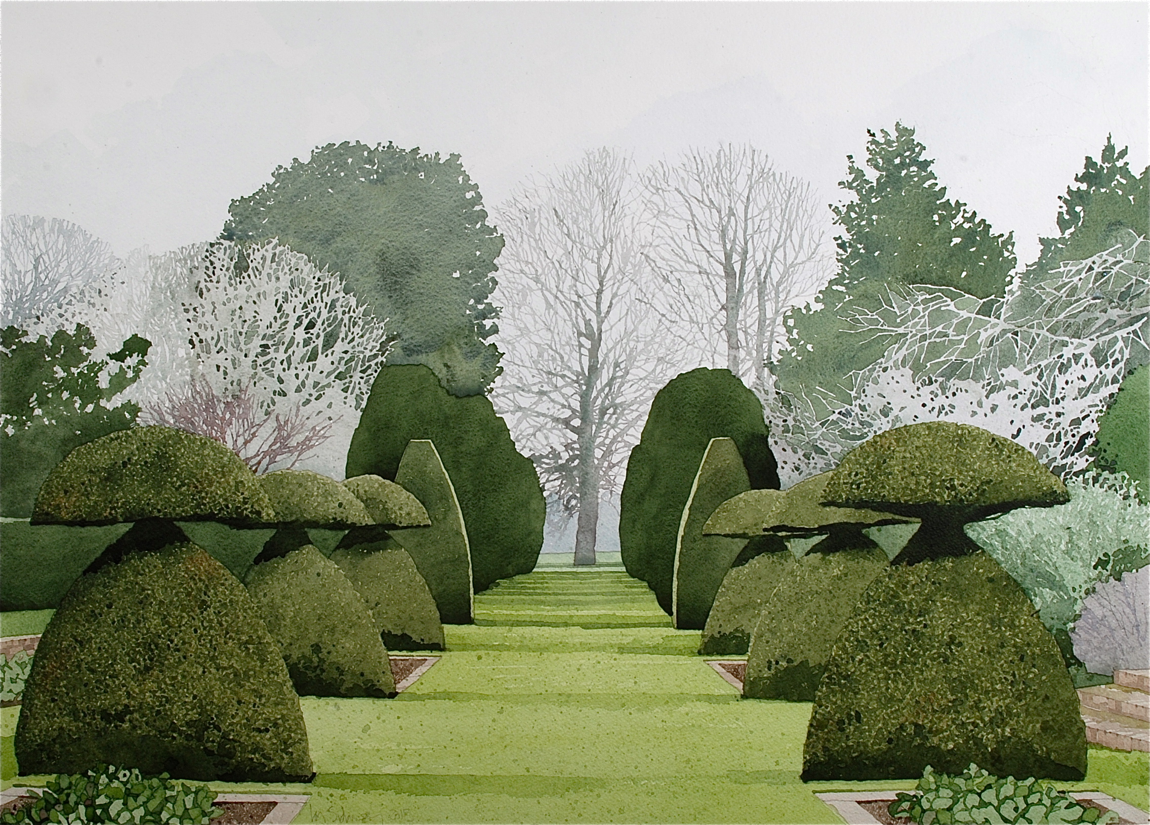Hinton Ampner Topiary.