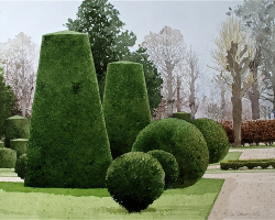 Topiary at Schonnbrune Vienna